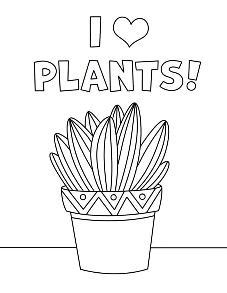 Free plant coloring pages â the hollydog blog