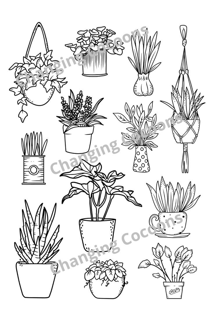 X fun plant colouring pages i digital print i pdf download i