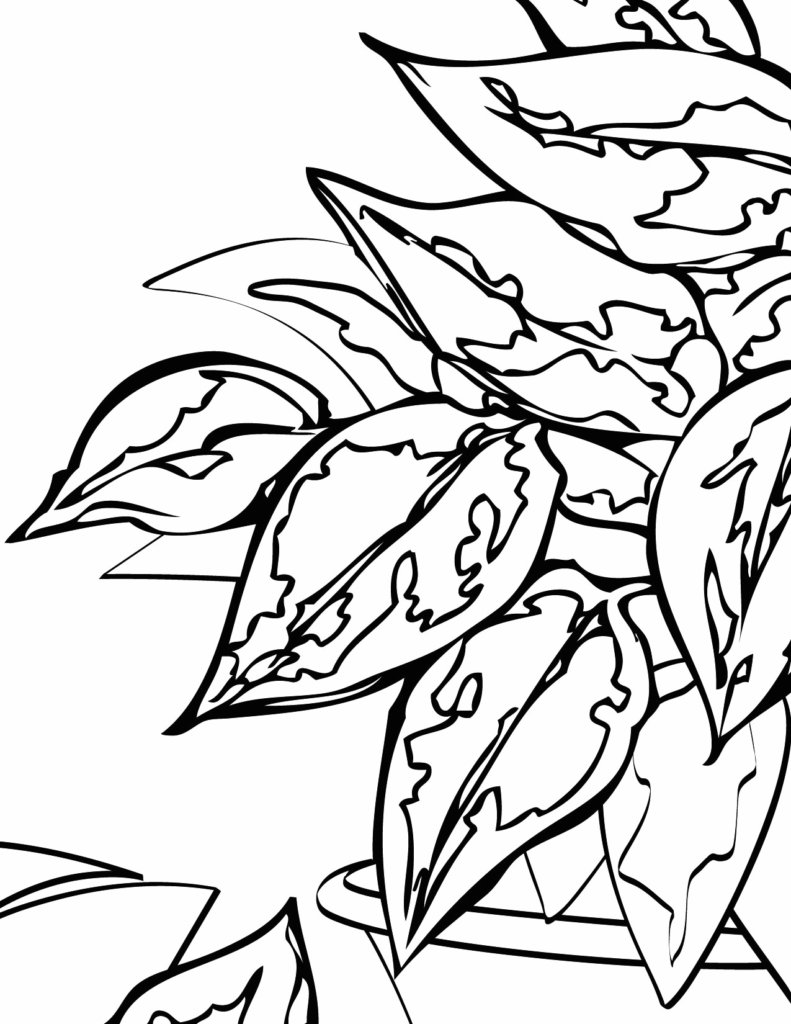 Plants coloring pages