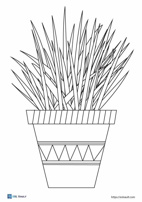 Free printable plant coloring pages