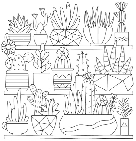 Best succulent cactus coloring books pages