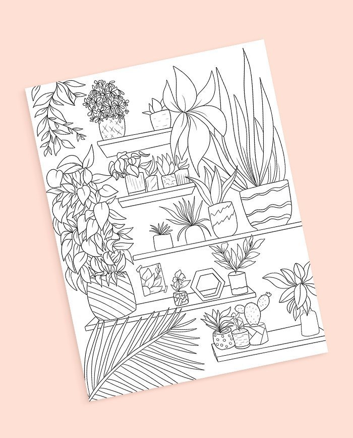 Free coloring page plants shelves decor diy instant download