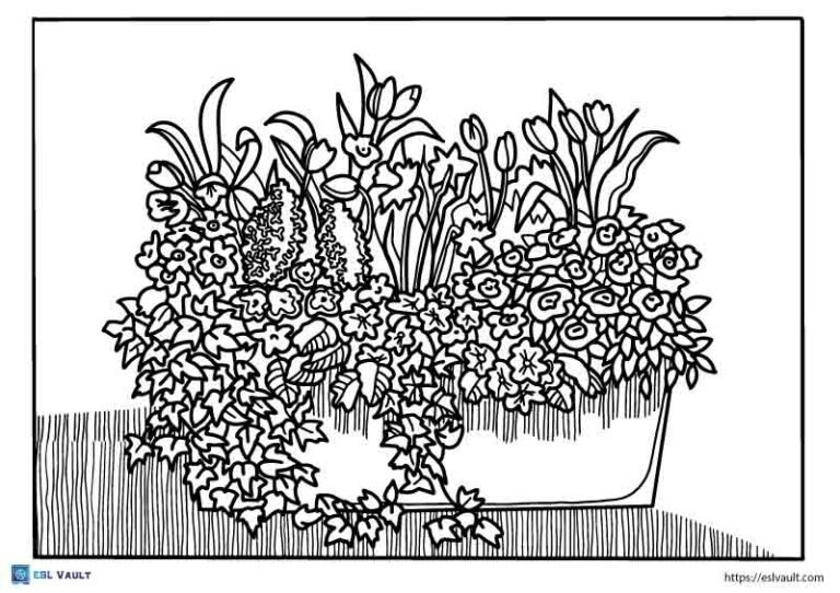 Free printable plant coloring pages