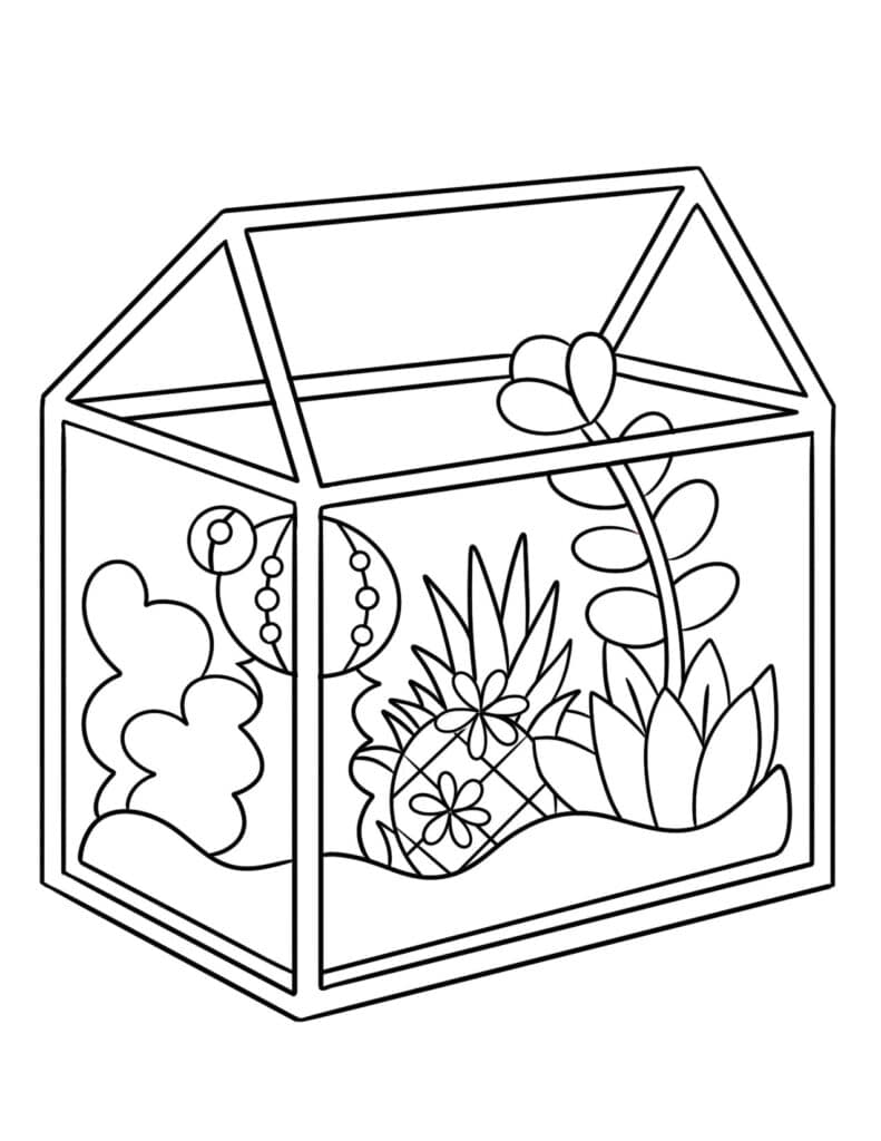 Free plant coloring pages â the hollydog blog