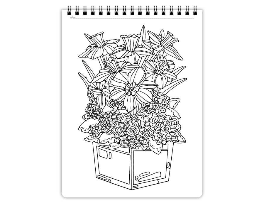 Relaxing flowers terrariums quick coloring book topbound images