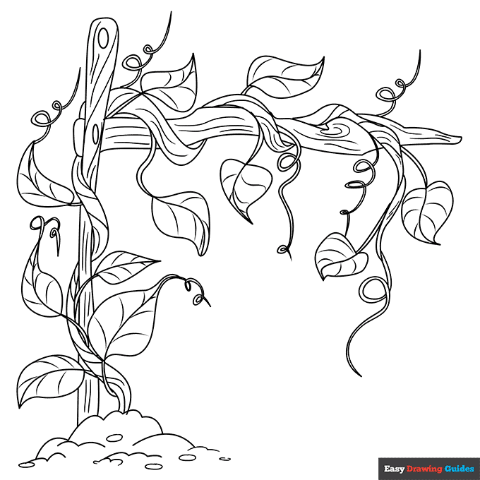 Free printable plant coloring pages for kids