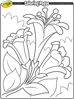 Plants trees flowers free coloring pages