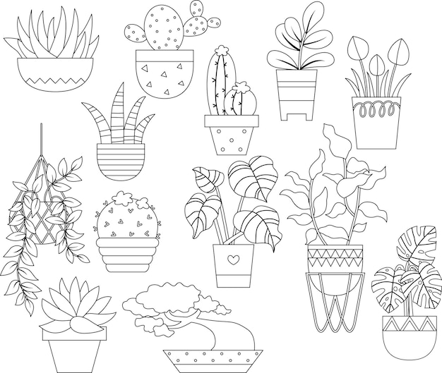 Plants coloring page images