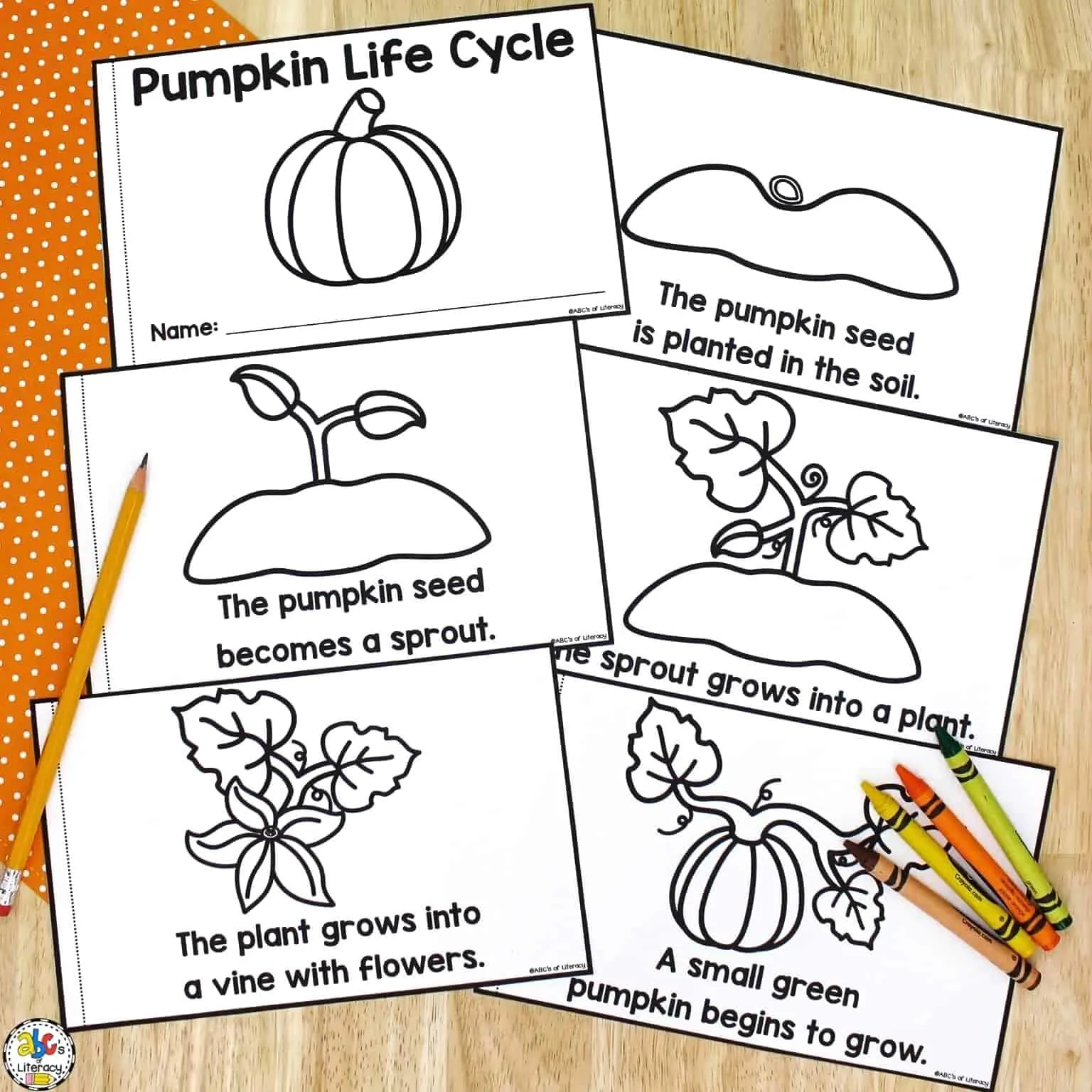 Life cycle of a pumpkin book free printable science book