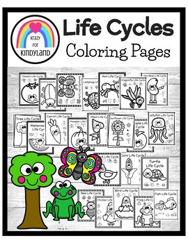 Life cycle coloring pages