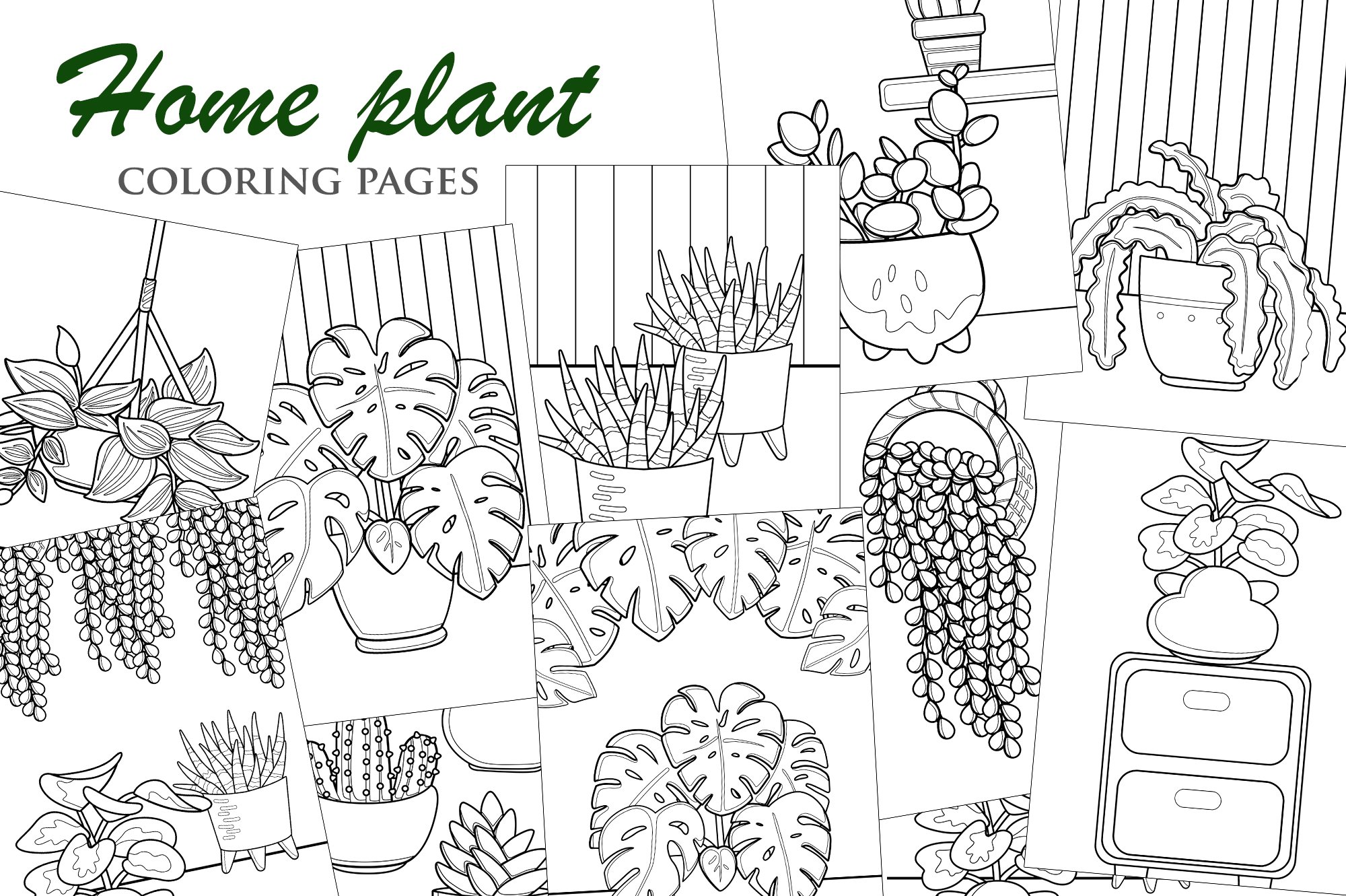 Home plant monstera cactus aloe vera coloring set kids adult