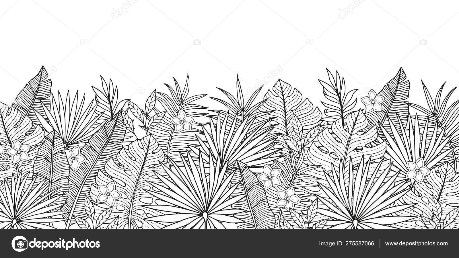 Coloring pages adult tropical background jungles plants leaves bananas palm stock vector by natasha