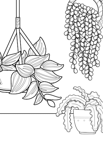 Premium vector home plants indoor coloring pages a for kids and adult