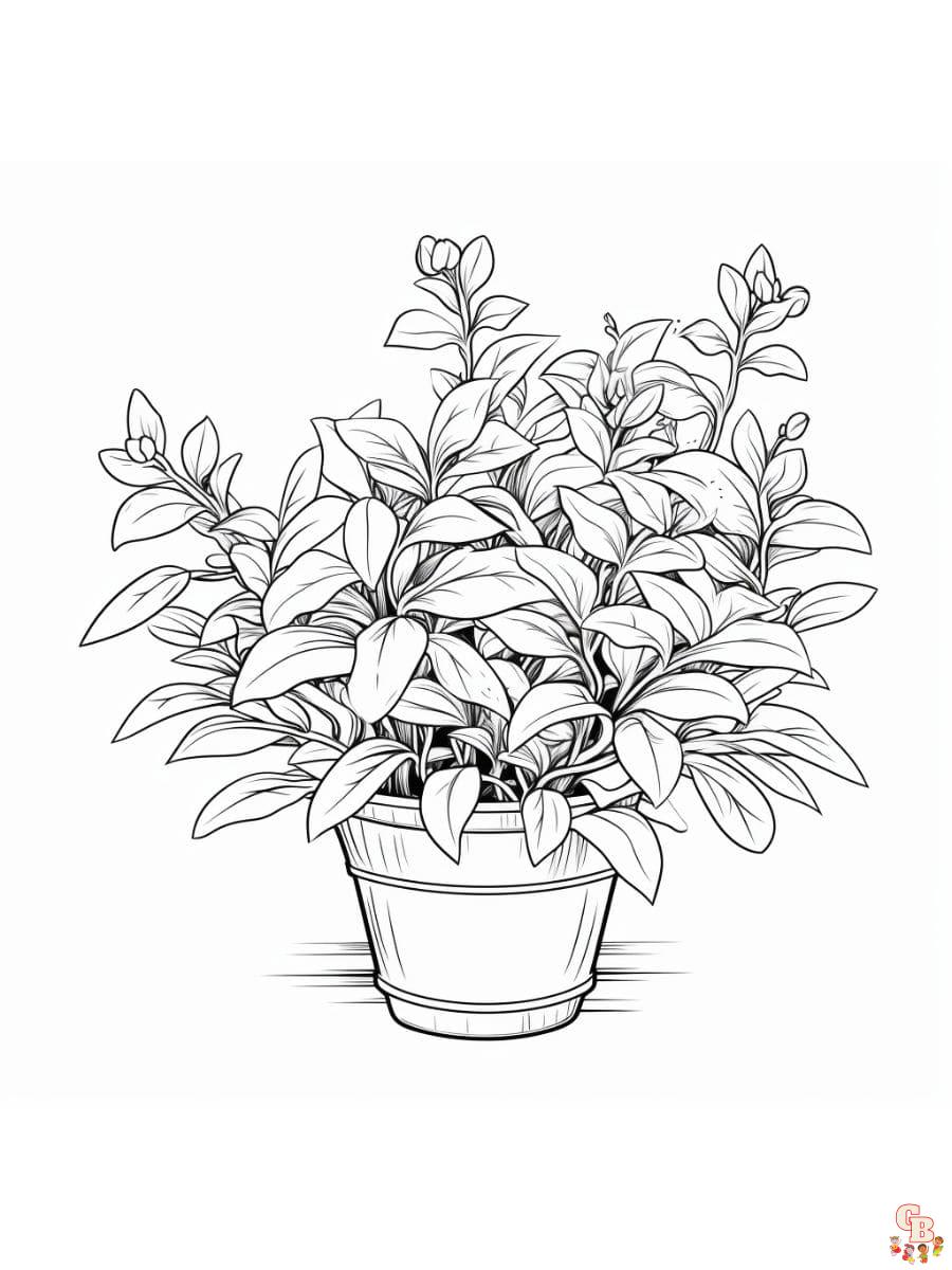 Printable plant coloring pages free for kids and adults