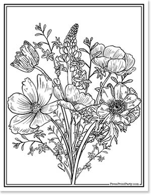 Coloring pages of flowers for kids and adults free printable