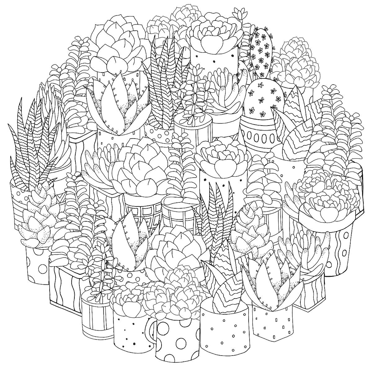 Houseplants coloring pages free printable coloring pages of plants for plant lovers printables mom