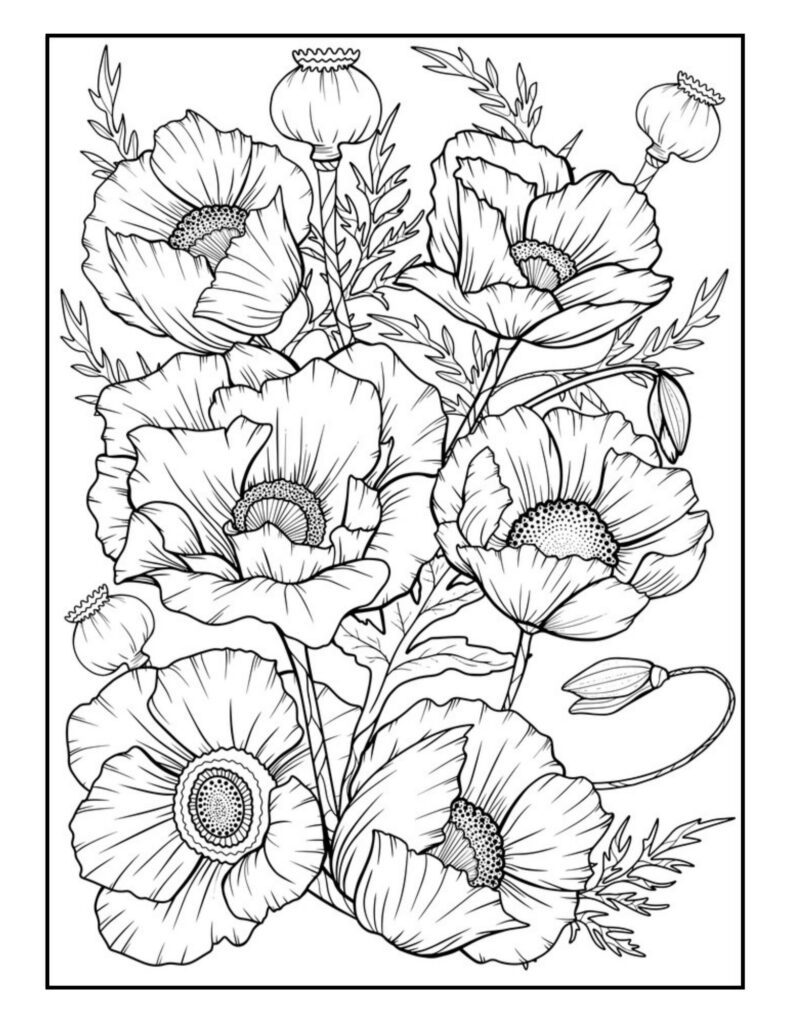 Adult coloring pages flowers