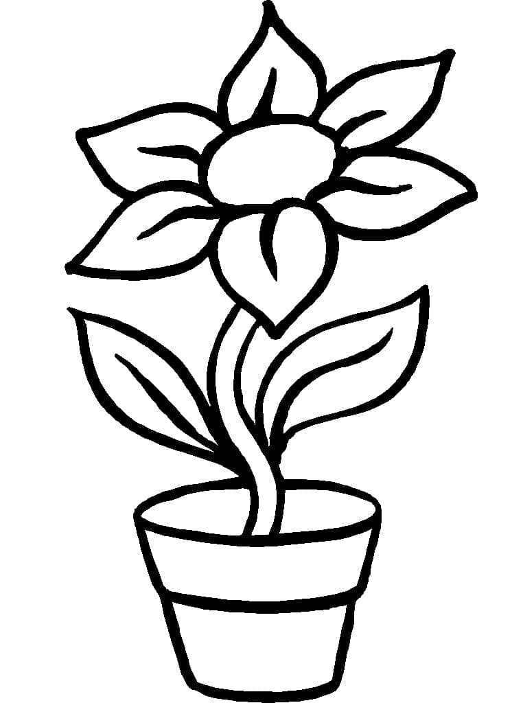 Flower pot coloring pages