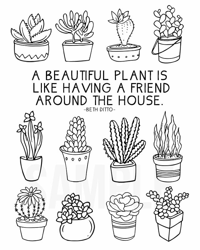 Coloring sheet for plant lovers