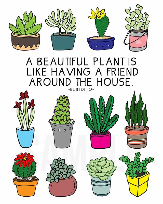 Coloring sheet for plant lovers