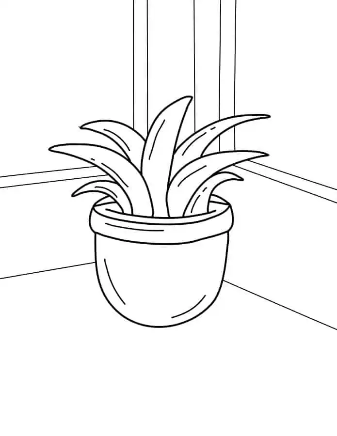 Coloring pages of plants âfor free