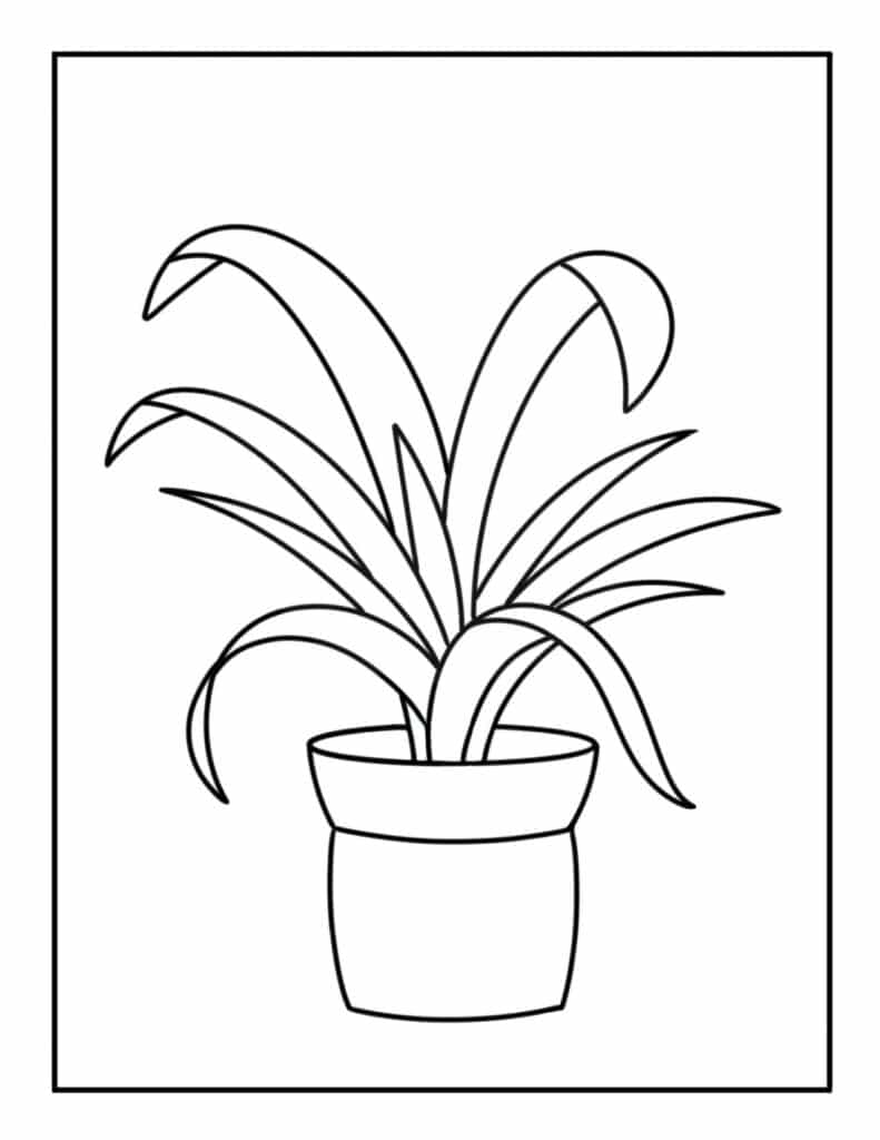 Free plant coloring pages â the hollydog blog