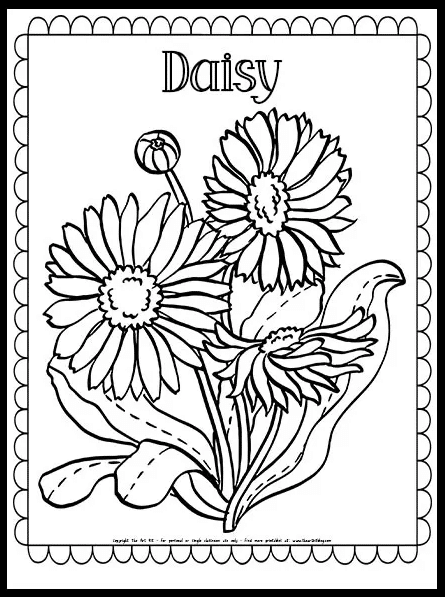 Daisy coloring page free homeschool deals