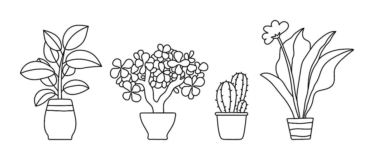 Houseplants coloring pages free printable coloring pages of plants for plant lovers printables mom
