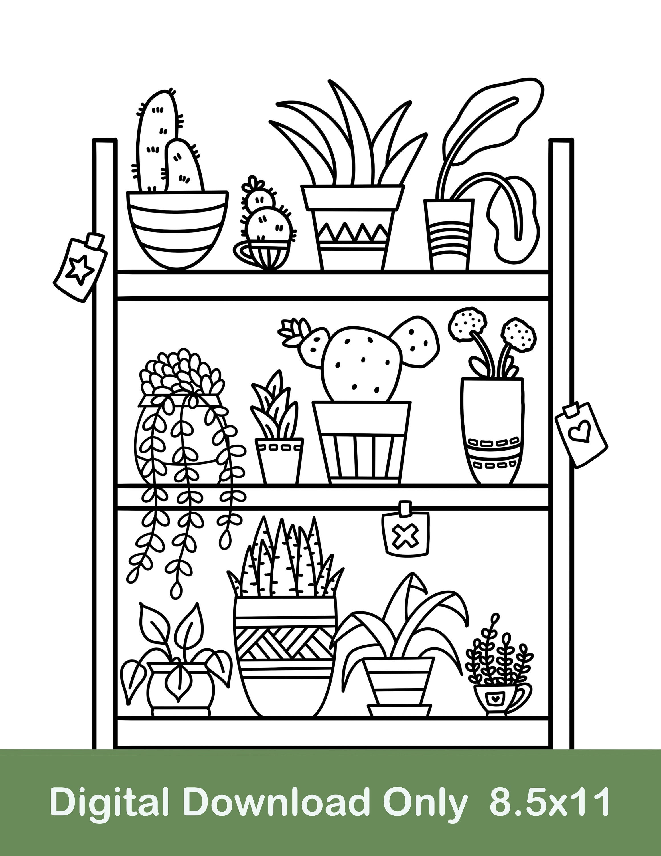Plant shelf printable coloring page potted plant coloring page cactus coloring page digital download