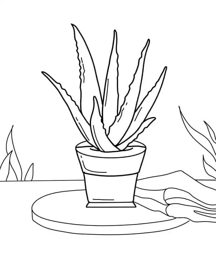 Coloring pages of plants âfor free
