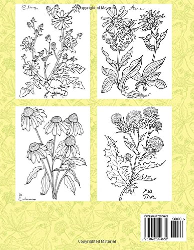 Medicinal plant coloring book an herb guide beautiful adult coloring books coloring books lilt kids books