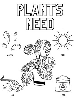 Plant needs coloring sheet interactive science illustration by jenna otten