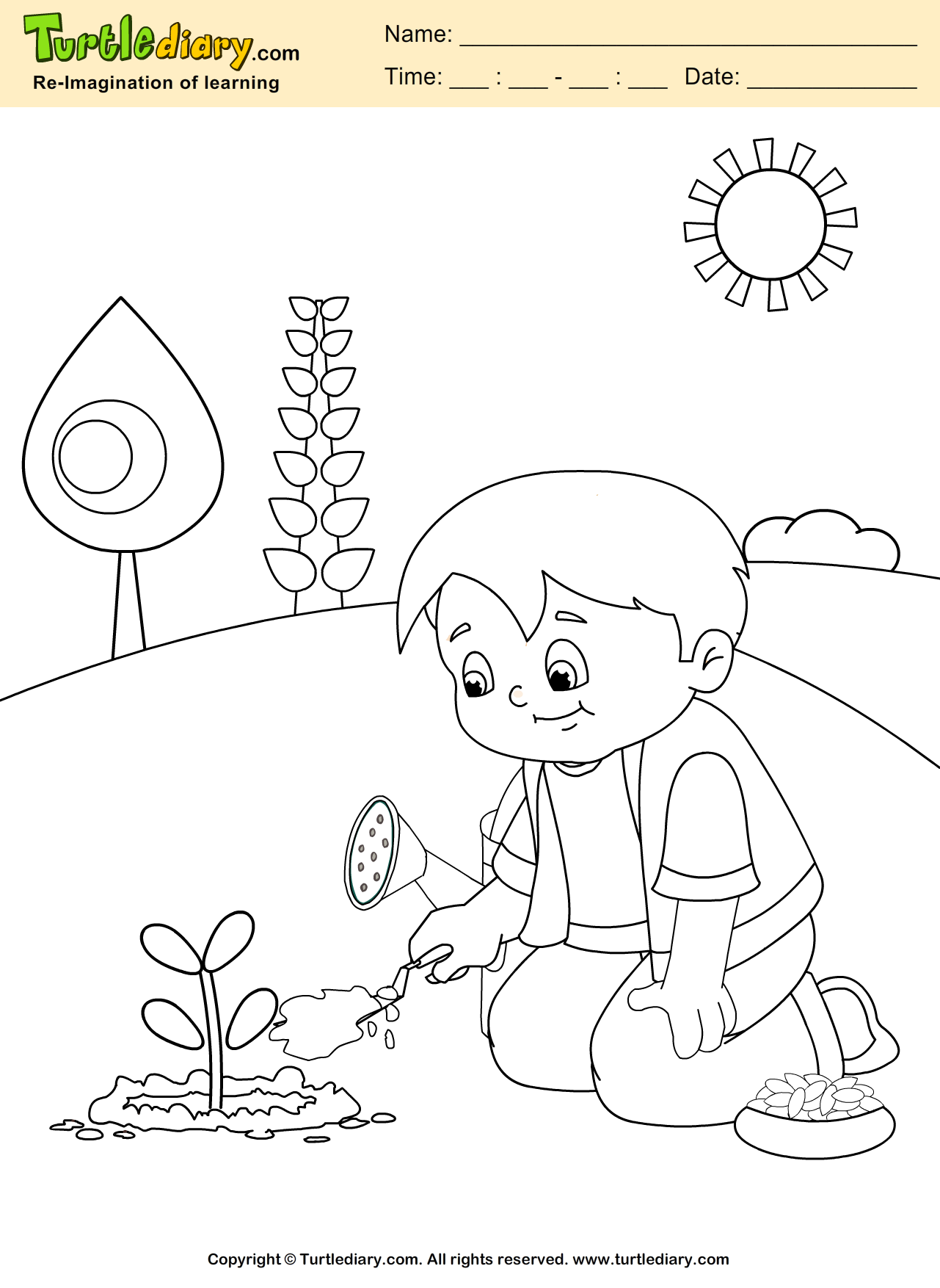 Grow plant coloring sheet turtle diary