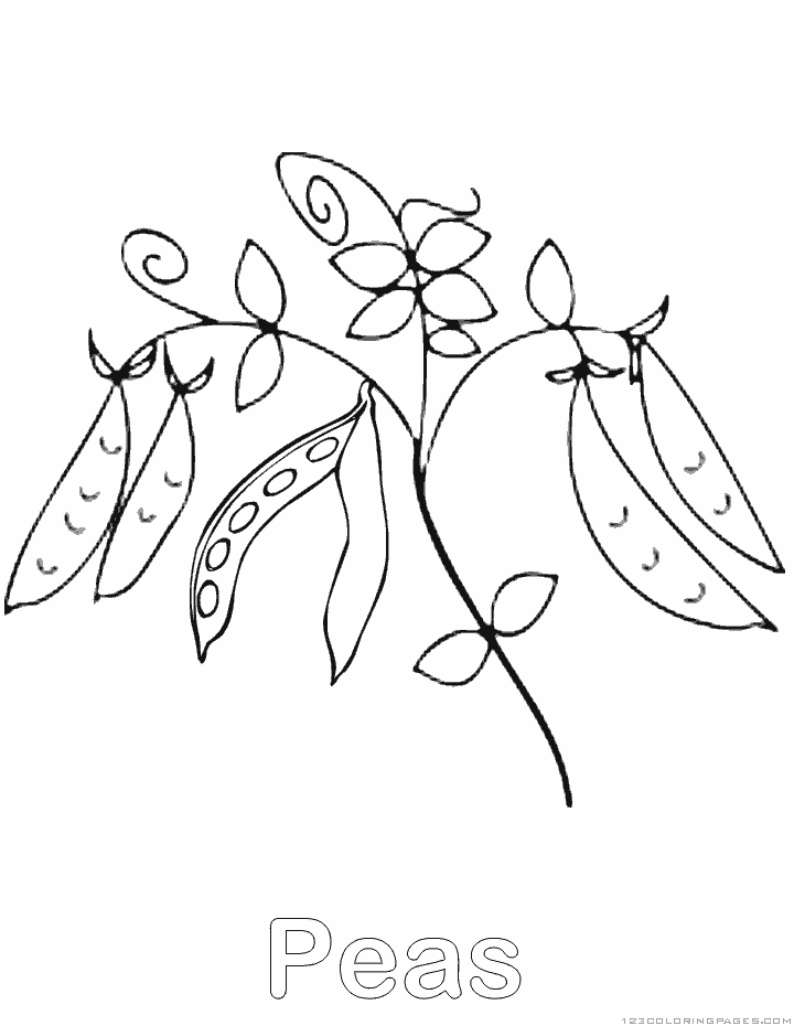 Coloring pages pea plant coloring pages