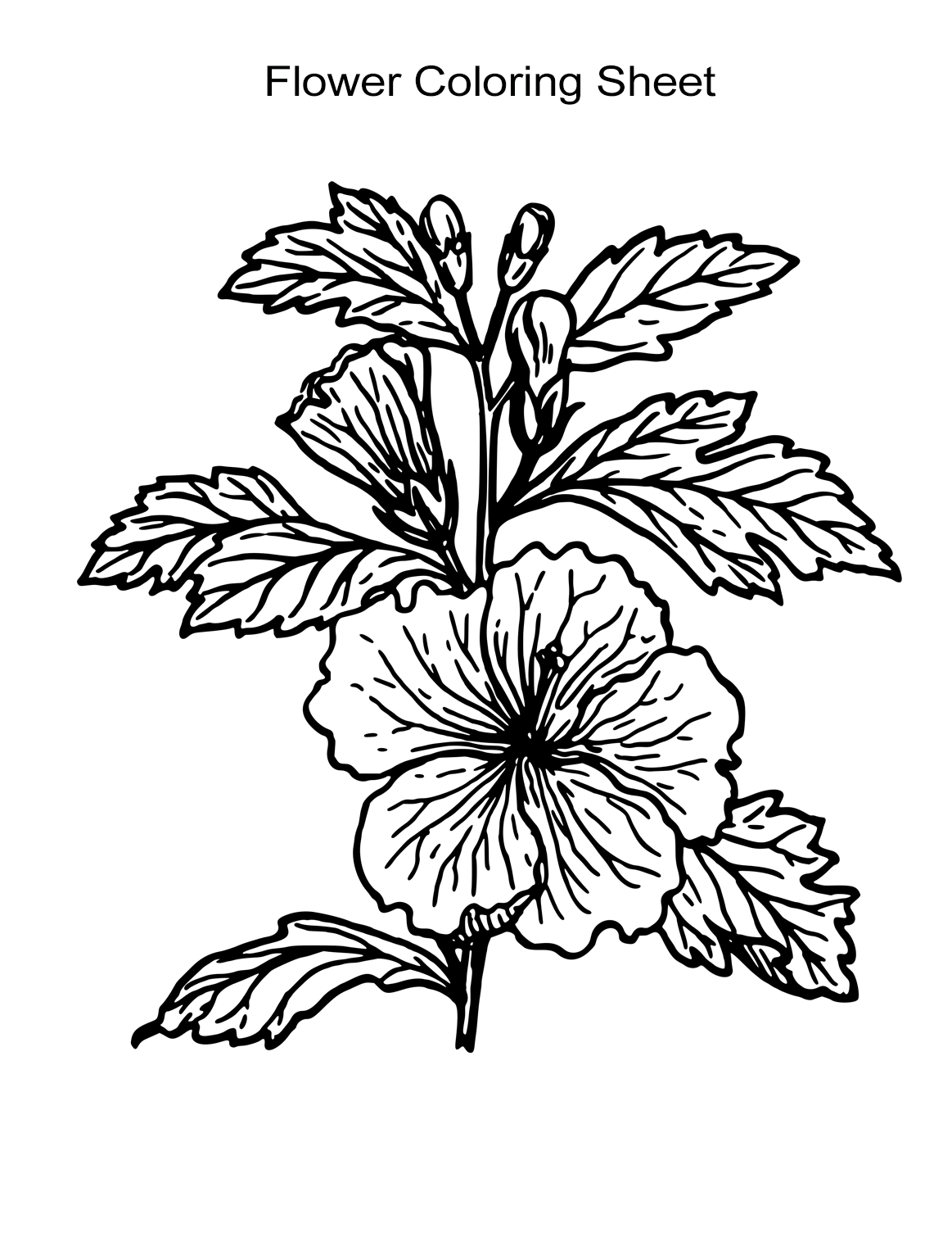 Flower coloring sheets for girls and boys