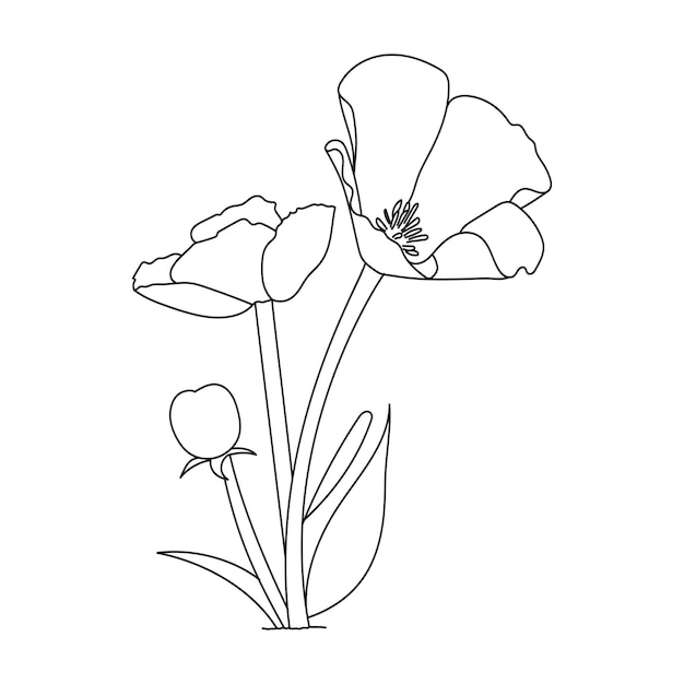 Premium vector beautiful easy flowers coloring book cute educational flowers coloring page for kids