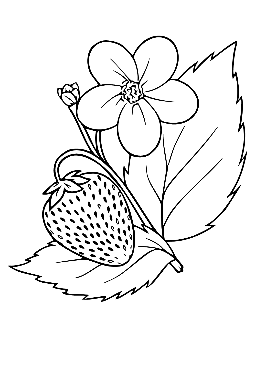 Free printable plant strawberry coloring page for adults and kids