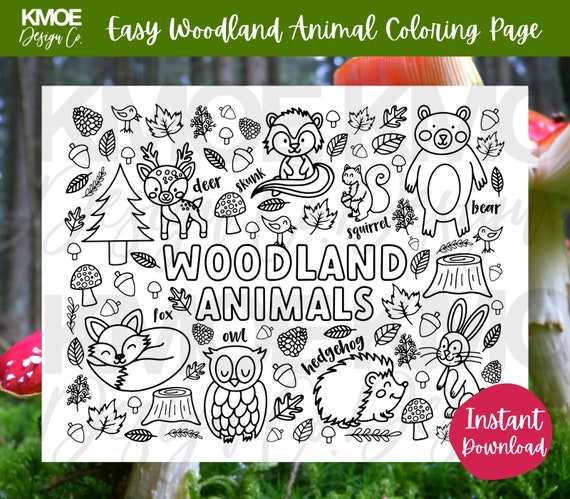Woodland animal dibujo para colorear pãgina imprimible para colorear libros para colorear para niãos actividad escolar bosque bosque zorro fãcil doodle de jardãn de infantes