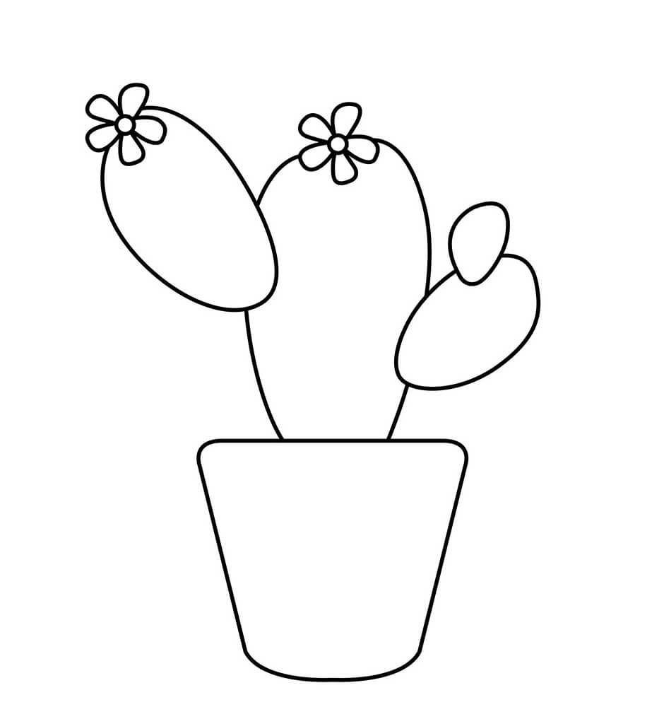 Cactus fãcil para colorear imprimir e dibujar â