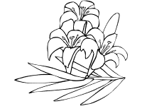 Flowers coloring pages and printable activities