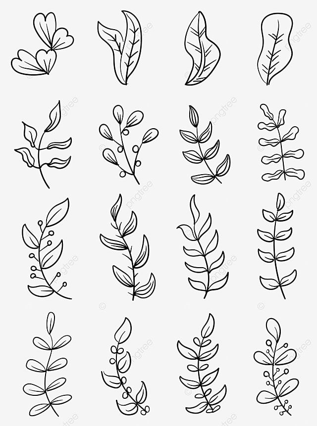 Dibujo de dibujado a mano hoja planta vector lineal png dibujos dibujo de hoja dibujo de planta dibujo de ala png y vector para dcargar gratis pngtree tutorial de dibujos