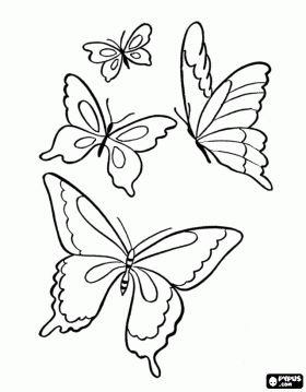 Miposas pcolore butterfly coloring page coloring pages butterfly drawing