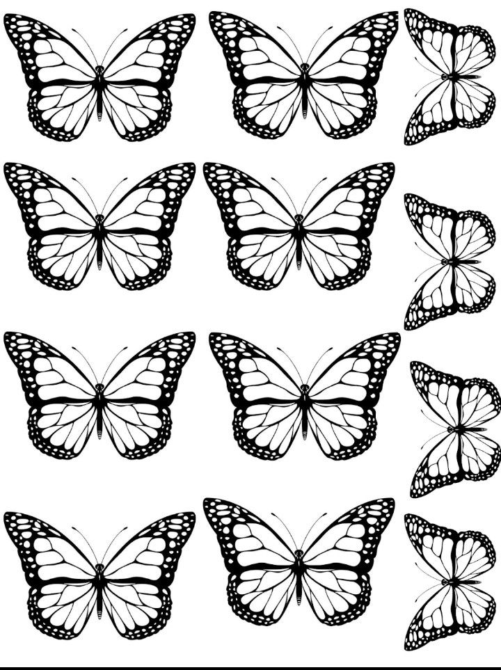 Mariposas ð mariposas para colorear mariposas para imprimir mariposa imprimible