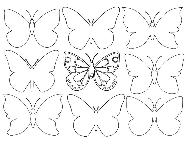 Butterfly template butterfly template butterfly coloring page butterfly drawing