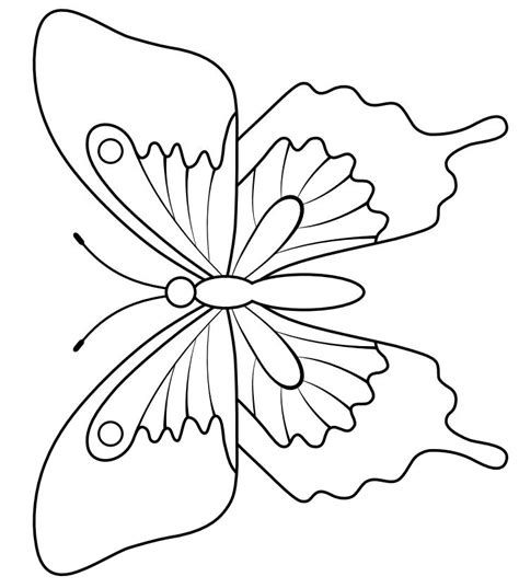 Miposas pa colore o dibuj miposas pa butterfly coloring page butterfly illustration butterfly stencil