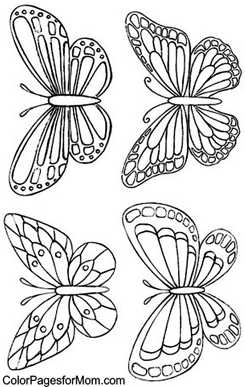 Butterfly coloring page o hacer mariposas mariposas de colores plantilla de mariposa