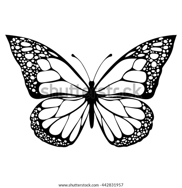 Mariposa monocromo libro de colorear ilustraciãn vector de stock libre de regalãas