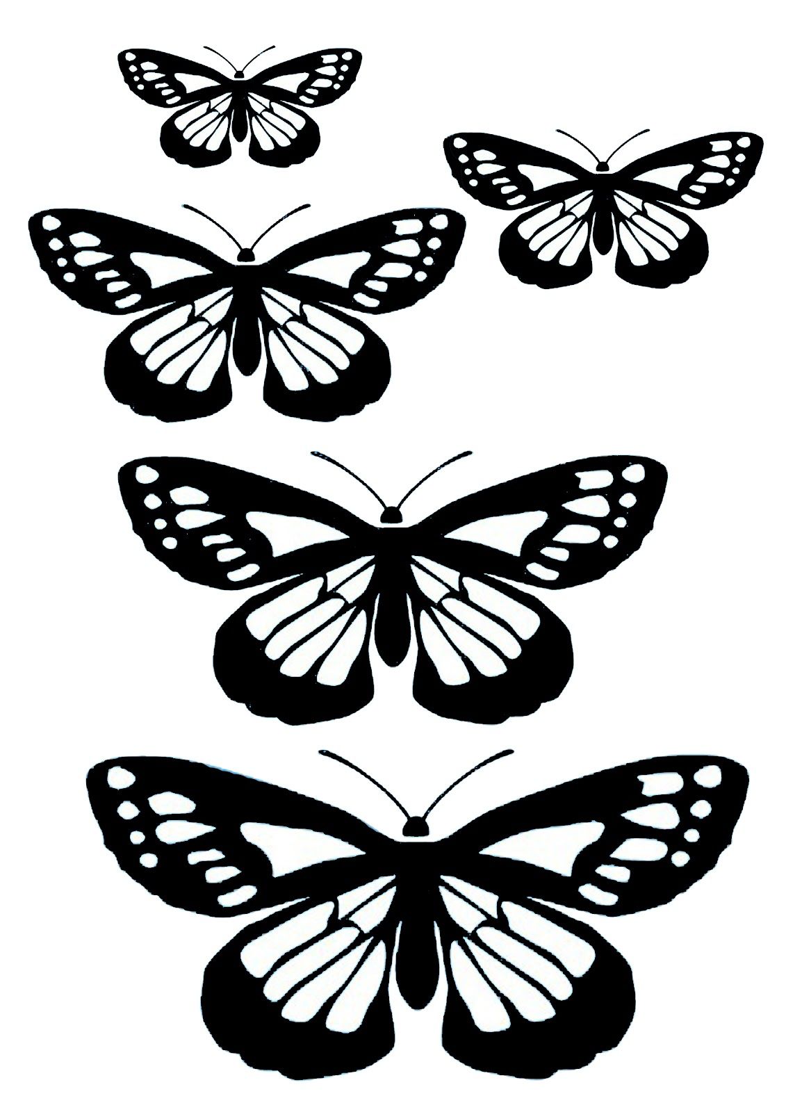 Sj aerografias plantillas mariposas insect loring pages lorful butterflies butterfly black and white