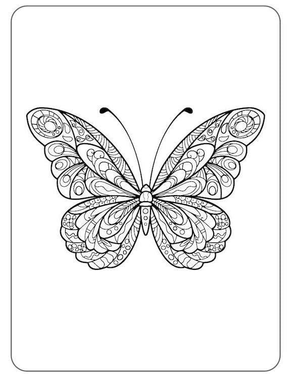 Pãginas para colorear de mariposas tipo mandala de alta calidad para adultos o niãos descarga pdf imprimible