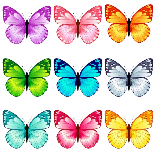 Hermosa colecciãn de mariposas color vector premium